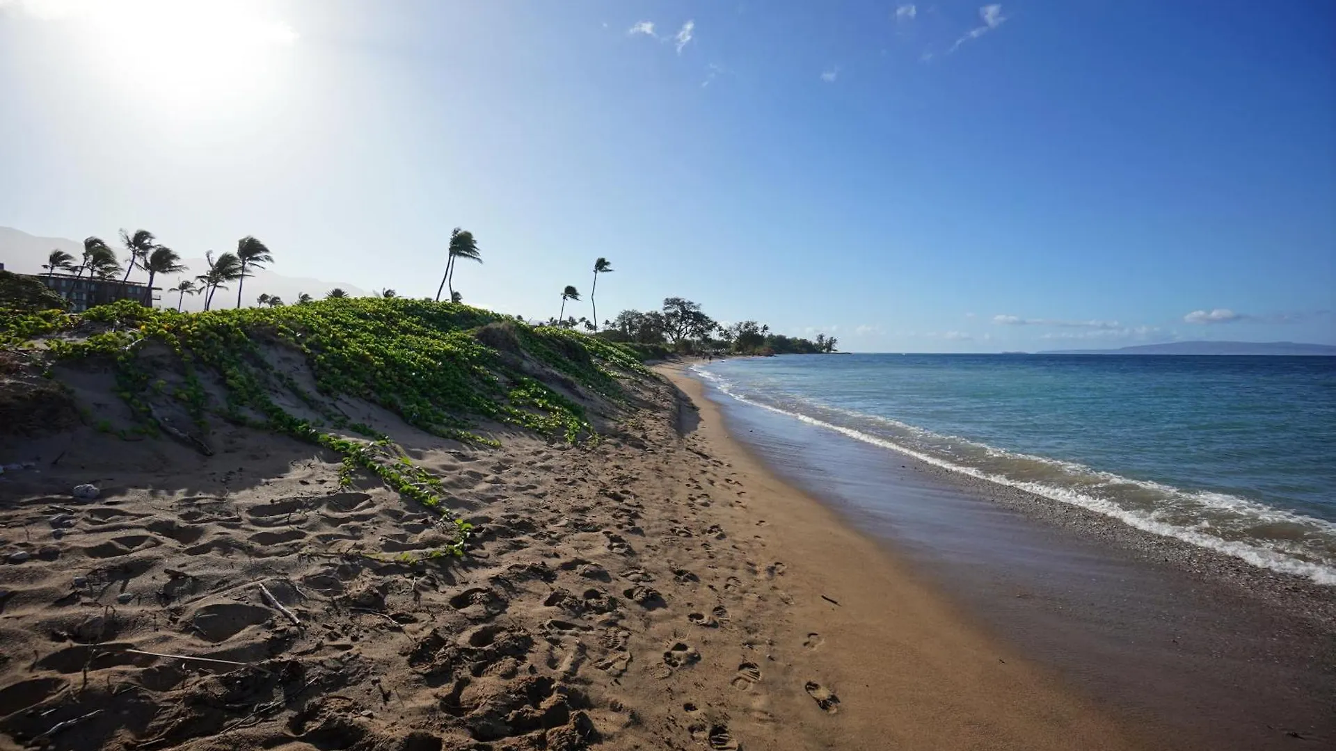 Tatil Evi Sunet Palms Kihei S Cozy Beach Escape